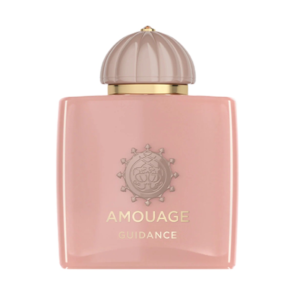 Amouage Guidance Eau de Parfum Ansicht 3