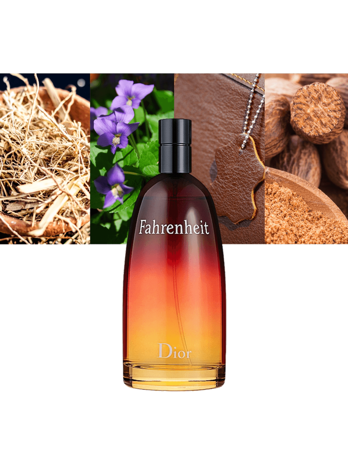 Dior Fahrenheit Eau de Toilette Ansicht 2